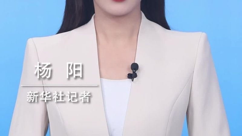 容器存储：构建高效数据中心的基石**